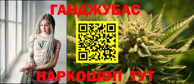 шишки Коммунар