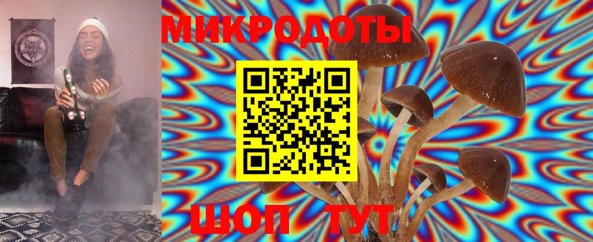 Киров  закладка  Вход с VPN  Псилоцибиновые грибы прущие грибы 